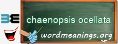 WordMeaning blackboard for chaenopsis ocellata